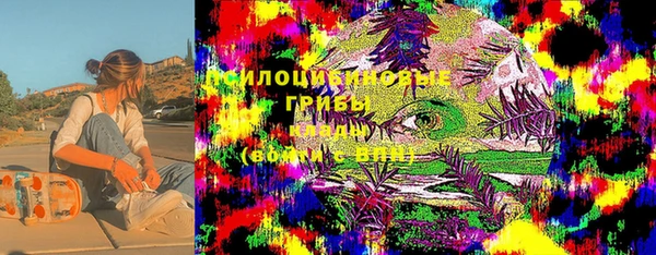 круглые Няндома